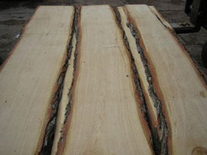 bán gỗ sồi trắng nguyên liệu