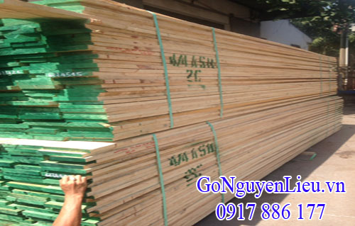 gỗ tần bì - gỗ ash nguyên đai nhập khẩu