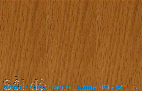 Đặc tính của gỗ sồi trắng và gỗ sồi đỏ 