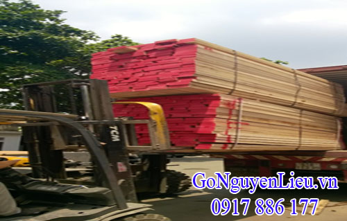 gỗ nguyên liệu tần bì