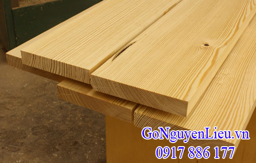 gỗ thông (pine lumber)