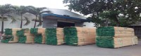 Bán gỗ tần bì xẻ sấy giá tốt, chất lượng - 0917 886 177 (24/7)