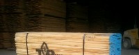 Bán gỗ sồi Mỹ giá hấp dẫn