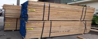Bảng báo giá gỗ Tần Bì (gỗ Ash) và những thông tin cần biết