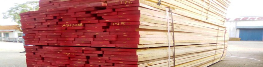 Bảng giá gỗ tần bì nguyên liệu bao nhiêu m3 năm 2018?