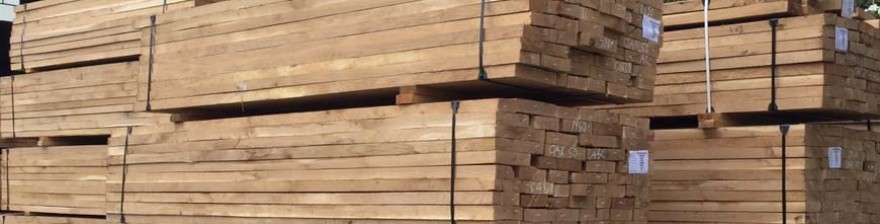 Báo giá gỗ Sồi (Oak) theo mét khối là bao nhiêu?