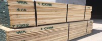 Cần mua gỗ tần bì (ash) chất lượng tốt ở đâu
