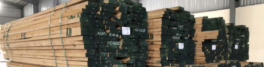 Cung cấp gỗ Tần Bì (Ash) số nhiều cho dự án giá rẻ