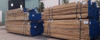 Địa chỉ cung cấp gỗ Sồi (Oak) chất lượng cao nên đến