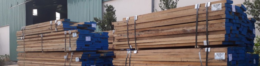 Địa chỉ cung cấp gỗ Sồi (Oak) chất lượng cao nên đến