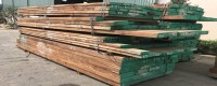 Giá bán gỗ Teak (Giá Tỵ) 2020 không đắt, xem để mua ngay!