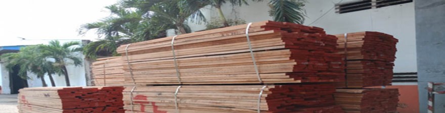 Giá gỗ Beech nhập khẩu hợp lý tại Bình Dương đến đâu?