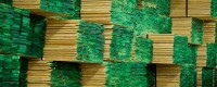 Giá gỗ sồi Mỹ bạn nên biết năm 2017