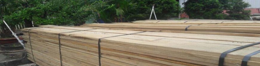 Giá gỗ sồi Mỹ nguyên liệu hút mọi người do rẻ