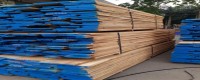 Giá gỗ sồi Mỹ tại gỗ Phương Nam tốt, quy cách đạt chuẩn