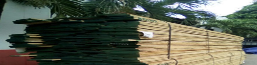 Giá gỗ sồi Mỹ tại thời điểm hiện tại ra sao?