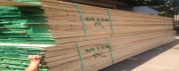 Giá gỗ tần bì (Ash) bao nhiêu một khối và mua ở đâu hợp lý?