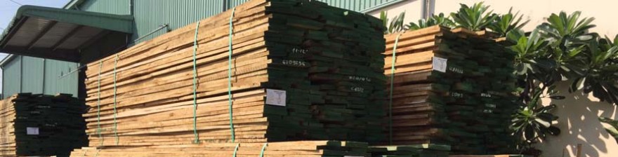 Giá mua gỗ Sồi xẻ sấy mới nhất, cập nhật ngay!