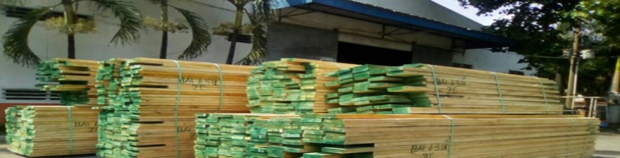 Giá mua gỗ Tần Bì (gỗ Ash) trong năm 2019 có đắt không?