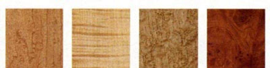Gỗ thích cứng (hard maple) và gỗ thích mềm ( soft maple) khác nhau như thế nào?