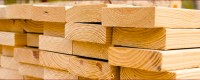 Lý do nào tạo nên chất lượng của gỗ thông nhập?