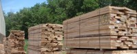 Ngành gỗ Việt nam: Khó khăn lớn nhất là thiếu nguyên liệu gỗ