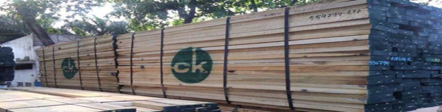 Ở nơi nào bán gỗ Bạch Dương (gỗ Poplar) rẻ, vận chuyển nhanh?