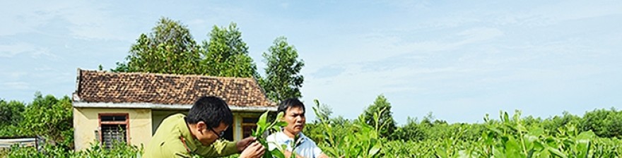 Quảng Bình mở rộng diện tích, nâng cao hiệu quả kinh tế rừng
