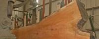 Sự khác biệt giữa gỗ anh đào và gỗ trăn nhập khẩu