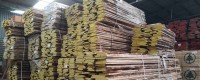 Tìm hiểu giá bán gỗ Sồi Mỹ để mua ngay hôm nay