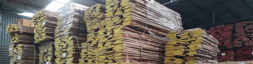 Tìm hiểu giá bán gỗ Sồi Mỹ để mua ngay hôm nay