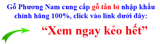 bảng báo giá gỗ tần bì (ash) nhập khẩu bảng báo giá gỗ tần bì (ash) nhập khẩu