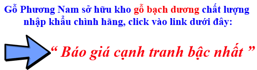 bảng giá gỗ bạch dương (poplar) nhập khẩu bảng giá gỗ bạch dương (poplar) nhập khẩu