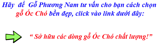 bảng giá gỗ óc chó (walnut) Mỹ nhập khẩu bảng giá gỗ óc chó (walnut) Mỹ nhập khẩu