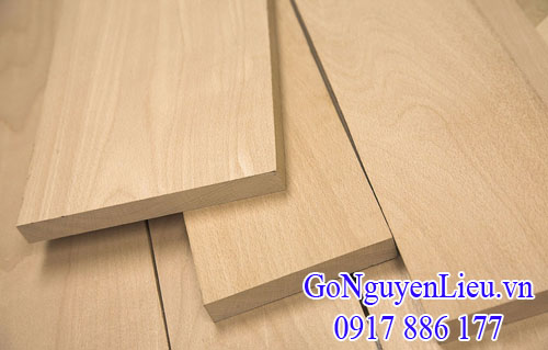 gỗ dẻ gai - beech gỗ dẻ gai - beech