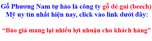 báo giá gỗ dẻ gai - beech nhập khẩu báo giá gỗ dẻ gai - beech nhập khẩu