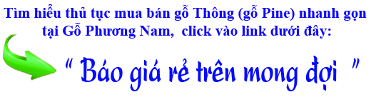 báo giá gỗ thông (pine) xẻ sấy nguyên liệu báo giá gỗ thông (pine) xẻ sấy nguyên liệu