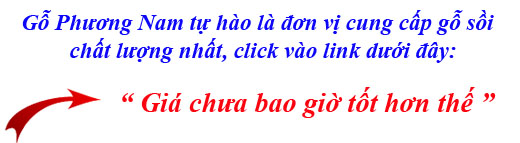 báo giá gỗ sồi (oak) xẻ sấy báo giá gỗ sồi (oak) xẻ sấy