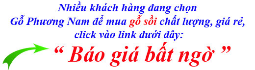giá bán gỗ oak usa (gỗ sồi mỹ) tại bình dương bao nhiêu 1 khối giá bán gỗ oak usa (gỗ sồi mỹ) tại bình dương bao nhiêu 1 khối