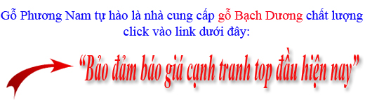 giá gỗ bạch dương nhập khẩu giá gỗ bạch dương nhập khẩu