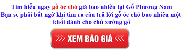 giá gỗ óc chó (walnut) Mỹ dành cho chủ xưởng gỗ giá gỗ óc chó (walnut) Mỹ dành cho chủ xưởng gỗ