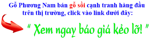 giá gỗ sồi (oak) Mỹ bao nhiêu 1m3 giá gỗ sồi (oak) Mỹ bao nhiêu 1m3