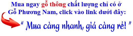 giá thành gỗ thông (gỗ pine) nhập khẩu bao nhiêu 1 khối giá thành gỗ thông (gỗ pine) nhập khẩu bao nhiêu 1 khối