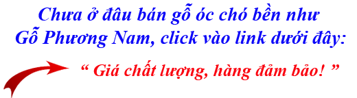 giá tiền gỗ óc chó (walnut) nhập khẩu giá tiền gỗ óc chó (walnut) nhập khẩu