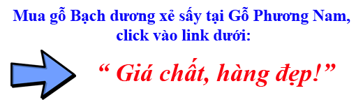 gỗ bạch dương vàng (gỗ poplar) giá bán khoảng bao nhiêu gỗ bạch dương vàng (gỗ poplar) giá bán khoảng bao nhiêu