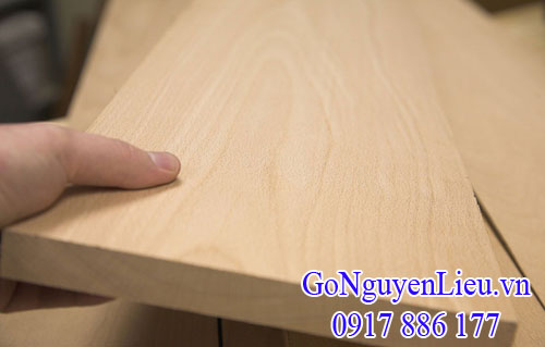 gỗ dẻ gai (beech) châu âu gỗ dẻ gai (beech) châu âu