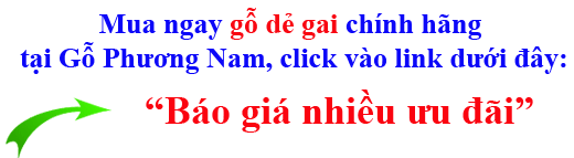 gỗ dẻ gai (beech) nguyên liệu giá bao nhiêu gỗ dẻ gai (beech) nguyên liệu giá bao nhiêu