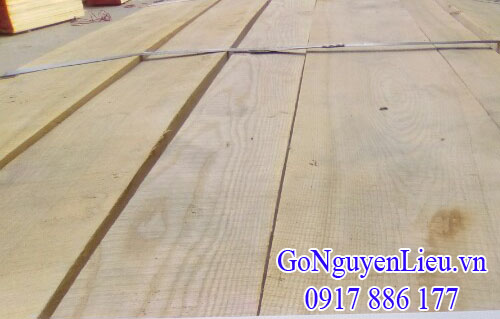 gỗ ash - tần bì gỗ ash - tần bì