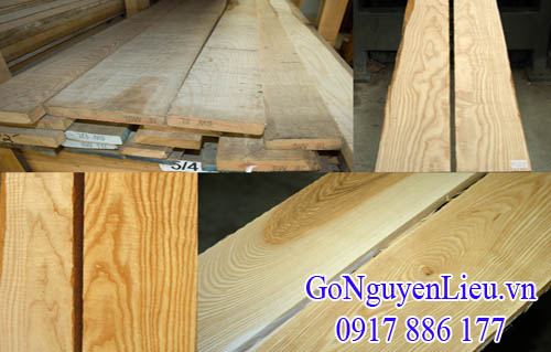 gỗ tần bì (gỗ ash) nhập khẩu gỗ tần bì (gỗ ash) nhập khẩu