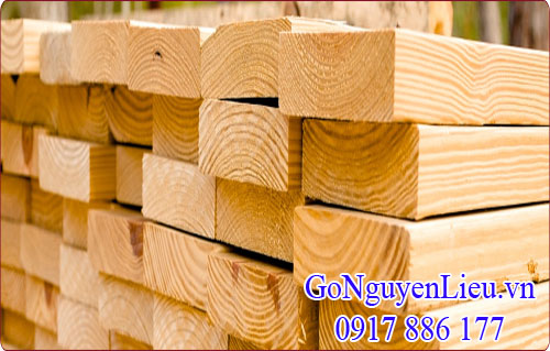 gỗ thông (pine) nhập khẩu rất được ưu chuộng gỗ thông (pine) nhập khẩu rất được ưu chuộng